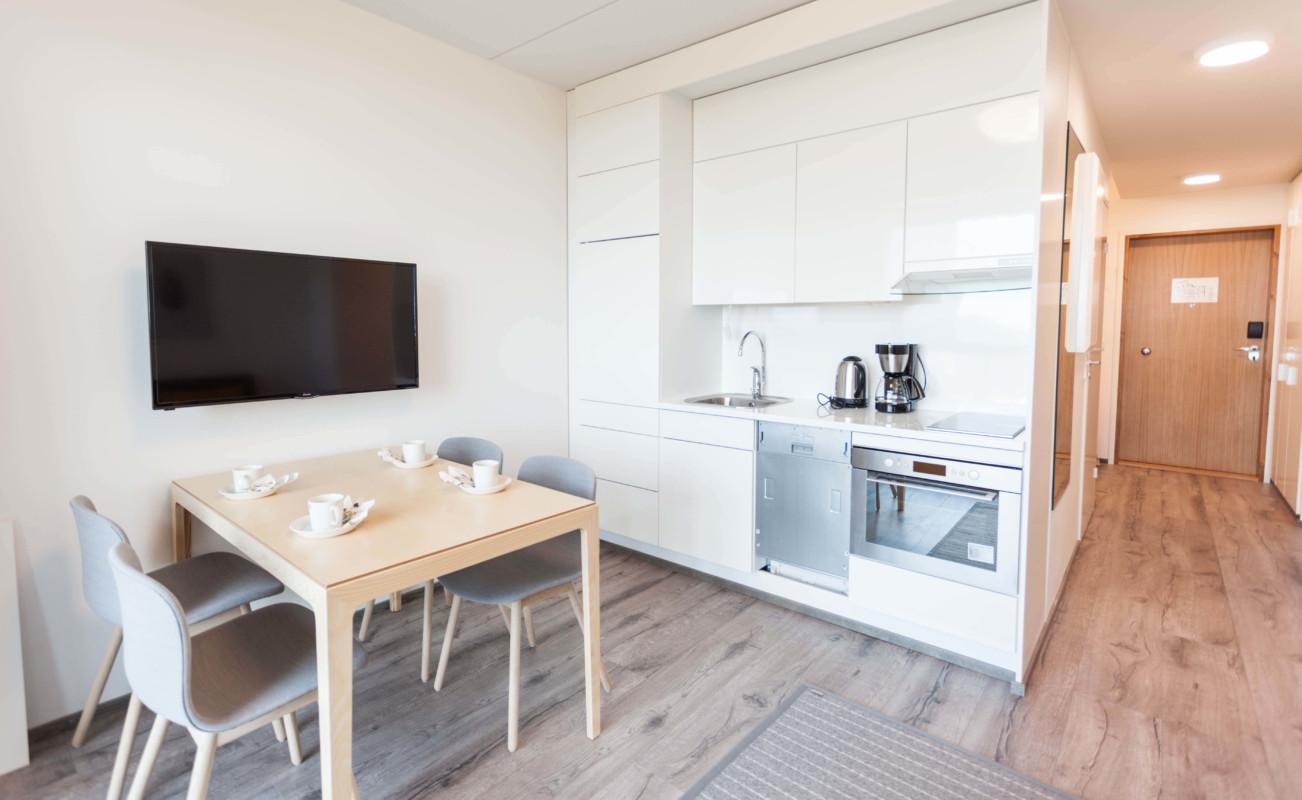 Hotel Sani Apartment Solo kitchen