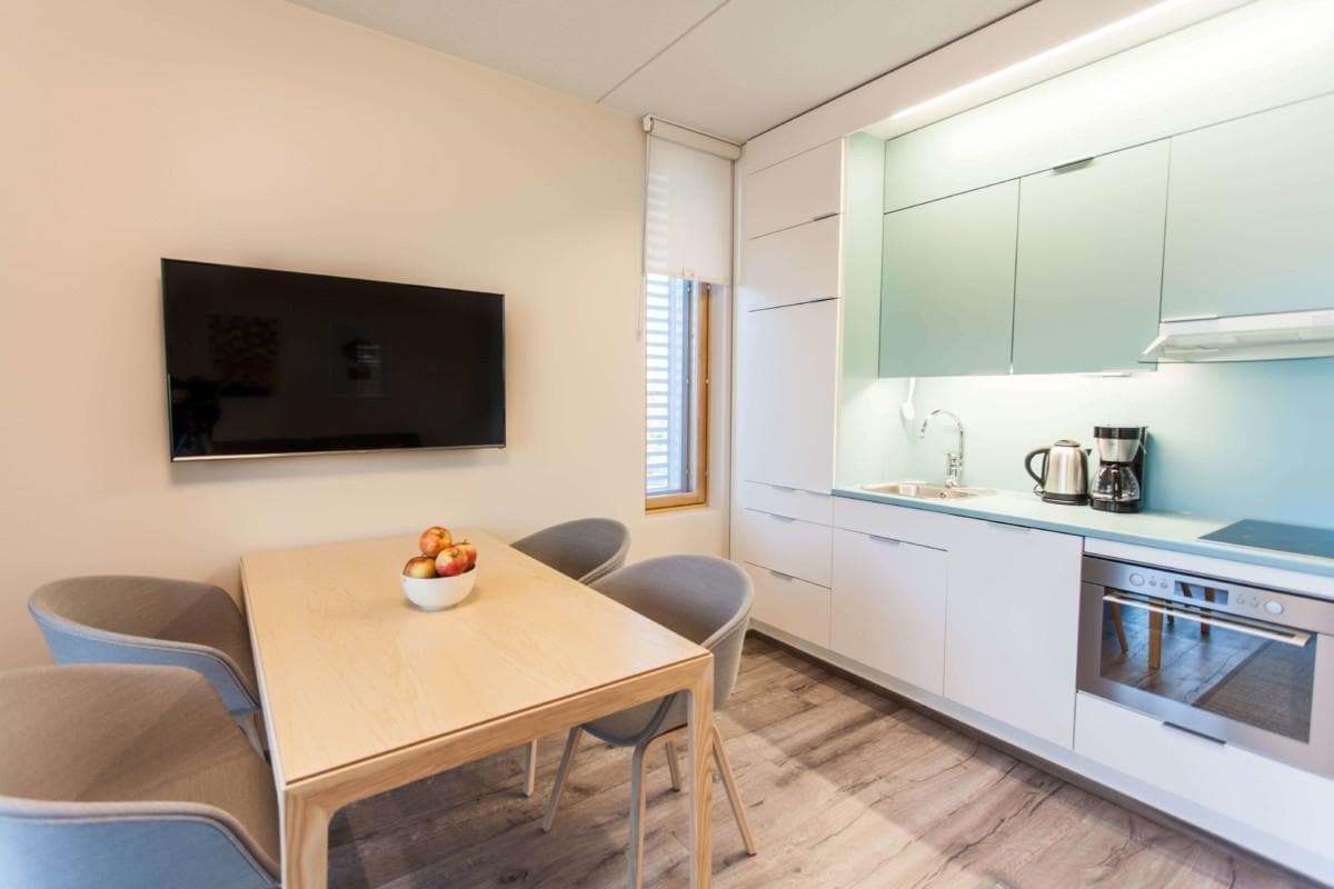 Hotel Sani Apartment Studio kitchen