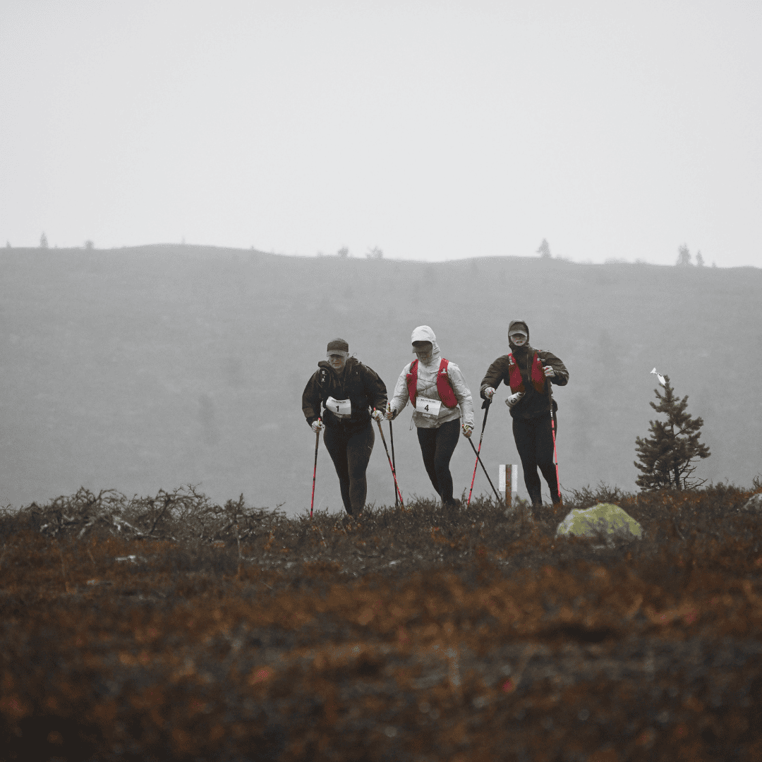 Arctic trail run saariselällä, polkujuoksutapahtuma, polkujuoksu