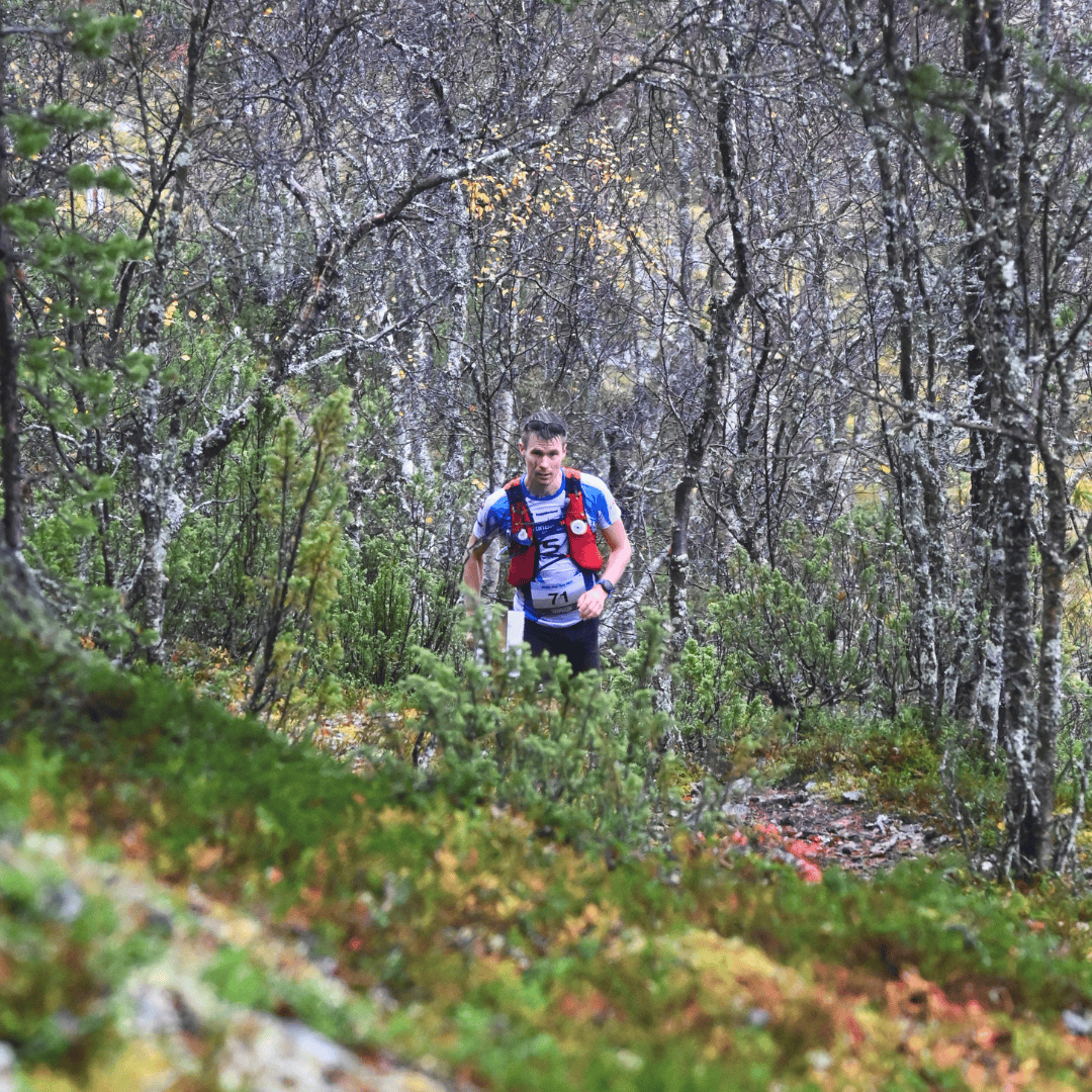 Arctic trail run saariselällä, polkujuoksutapahtuma, polkujuoksu